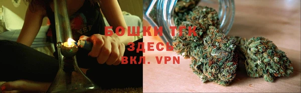 гидра Краснослободск