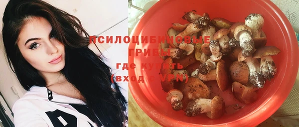 прущий лед Корсаков