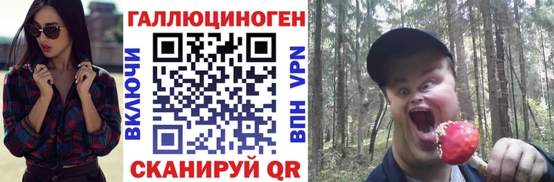 Купить где Магас Псилоцибиновые грибы Magic Shrooms